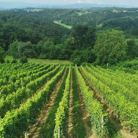 Sobe, Rooms B&B - Vina Kauran Zgornji Jakobski Dol Zewnętrze zdjęcie